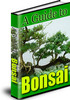 Thumbnail The Art Of Trimming Sculpting And Pruning Bonsai Trees