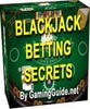 Thumbnail Blackjack Betting Secrets bjbets.